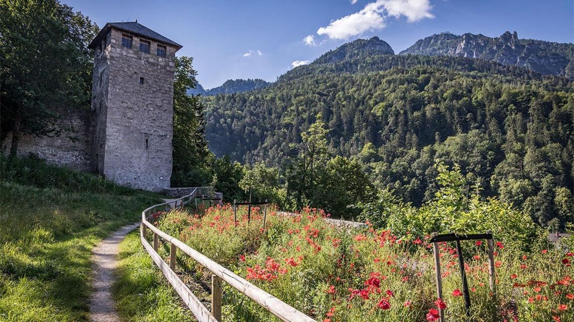 Ferienwohnungen Brigitte In Der Altstadt Bad Reichenhall Exterior foto